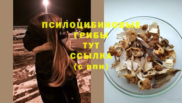 круглые Алексеевка