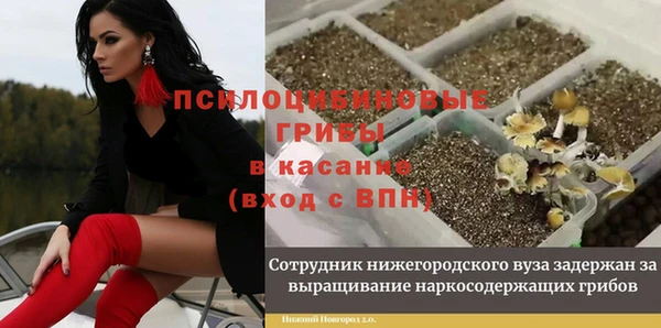 меф Алексин