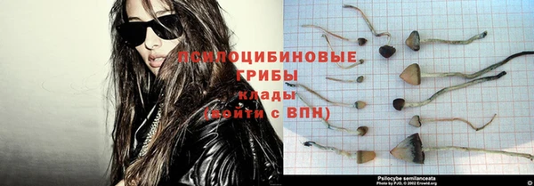 прущая мука Алзамай