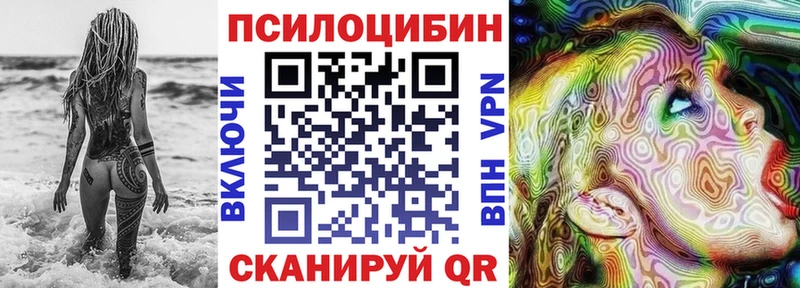 Псилоцибиновые грибы Psilocybine cubensis Андреаполь