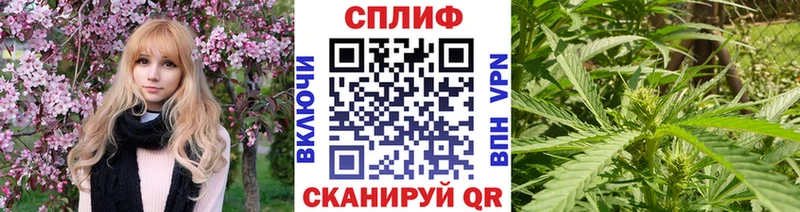 Конопля планчик  магазин    Андреаполь 
